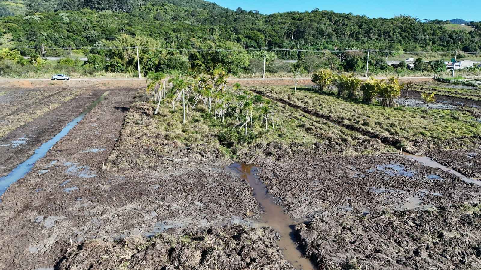 Obra Jardins da Fazenda 2